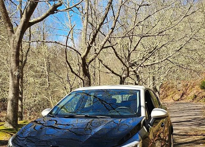 Paradiserents Aluguer De Carros *